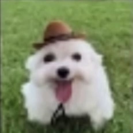 nanitow